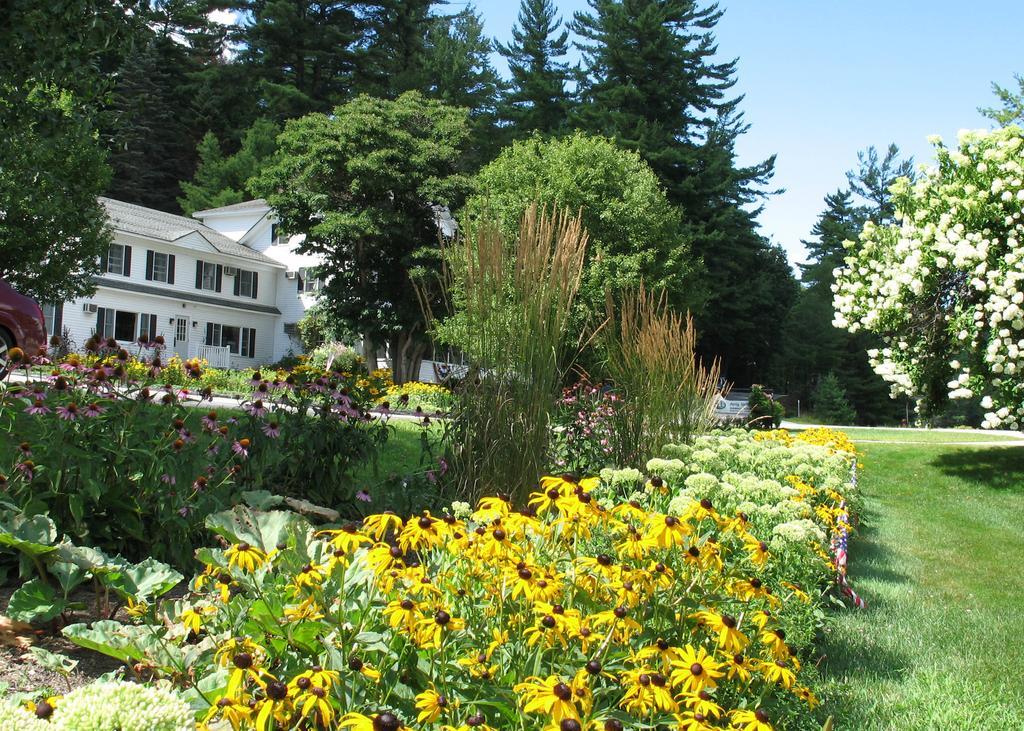 Purity Spring Resort Madison Εξωτερικό φωτογραφία